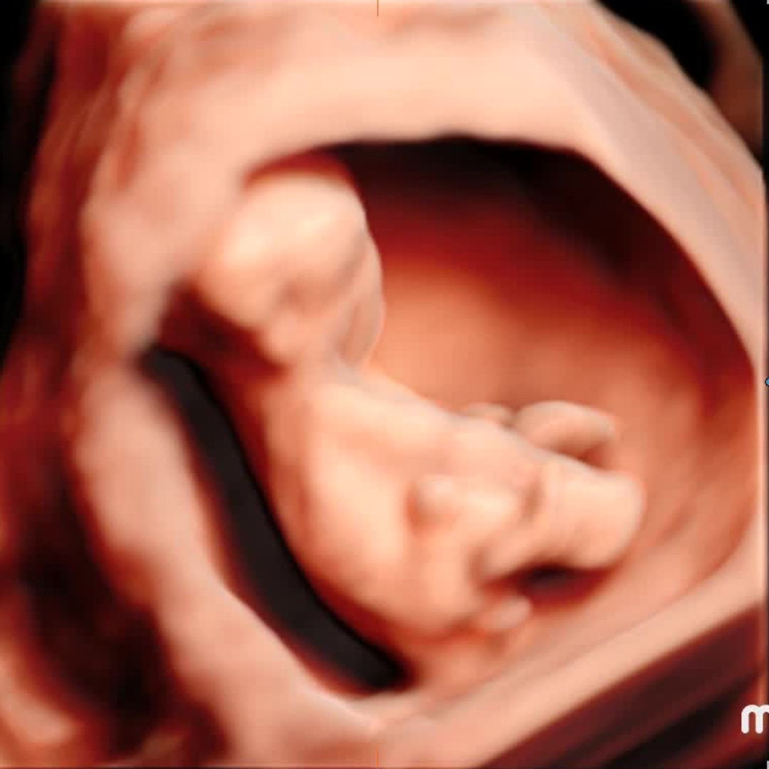 Photo shared by Keely for their Babylist baby registry.