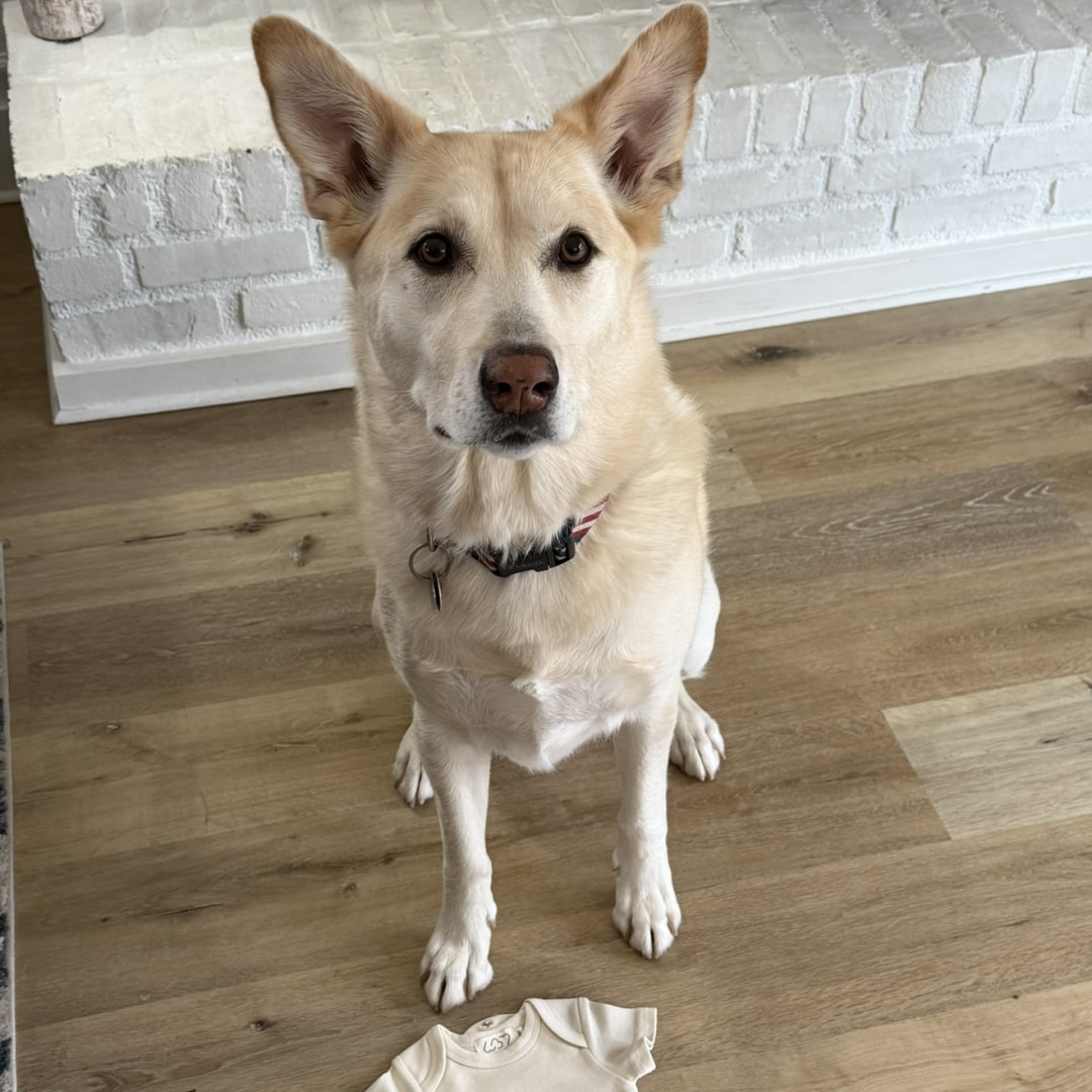 Photo shared by Olivia for their Babylist baby registry.