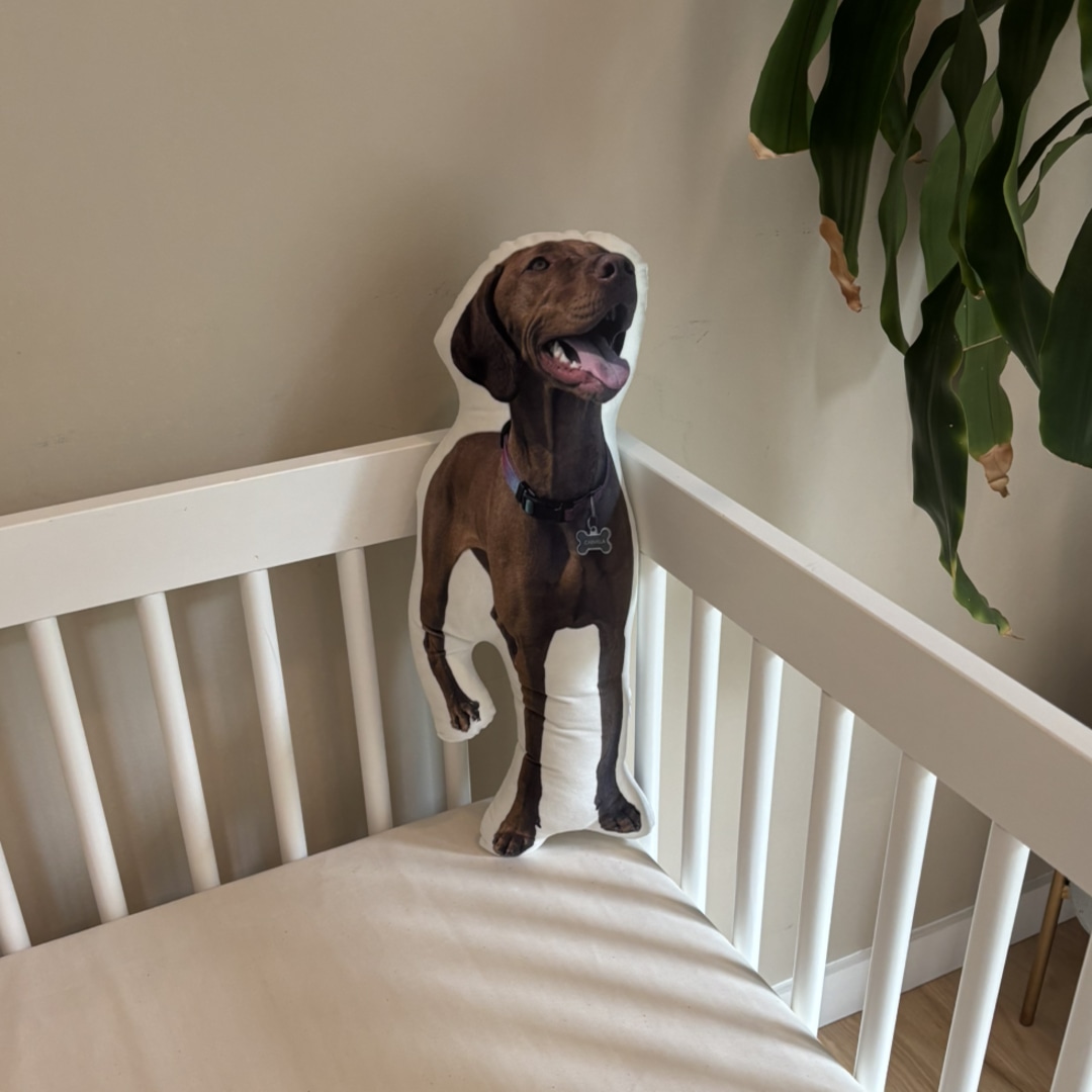 Photo shared by David for their Babylist baby registry.
