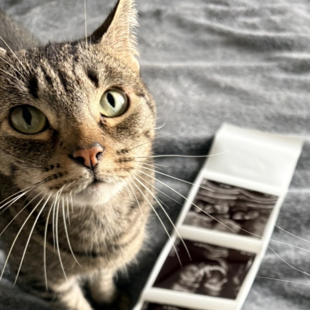 Photo shared by Kristin for their Babylist baby registry.