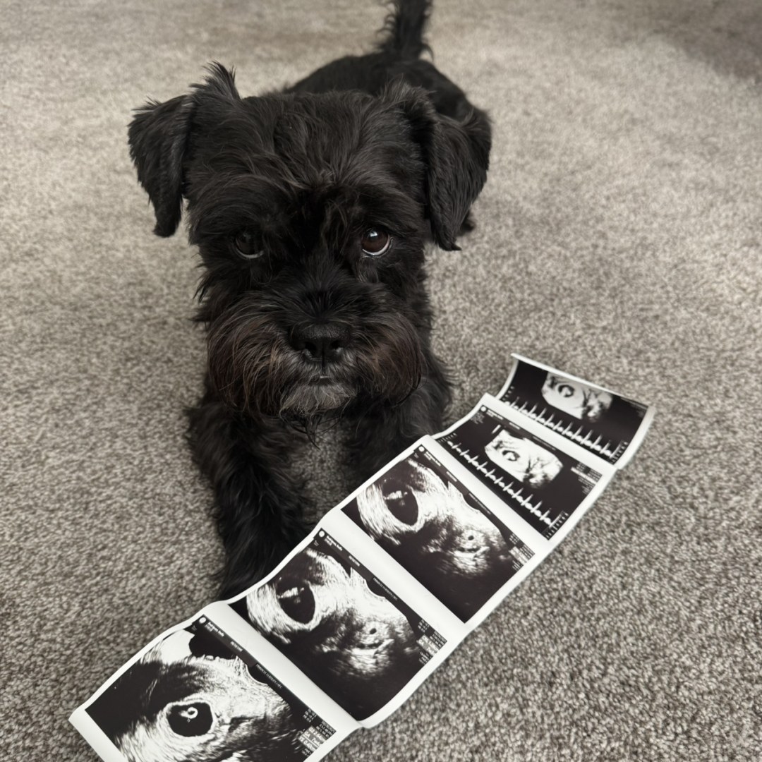 Photo shared by Sadie for their Babylist baby registry.