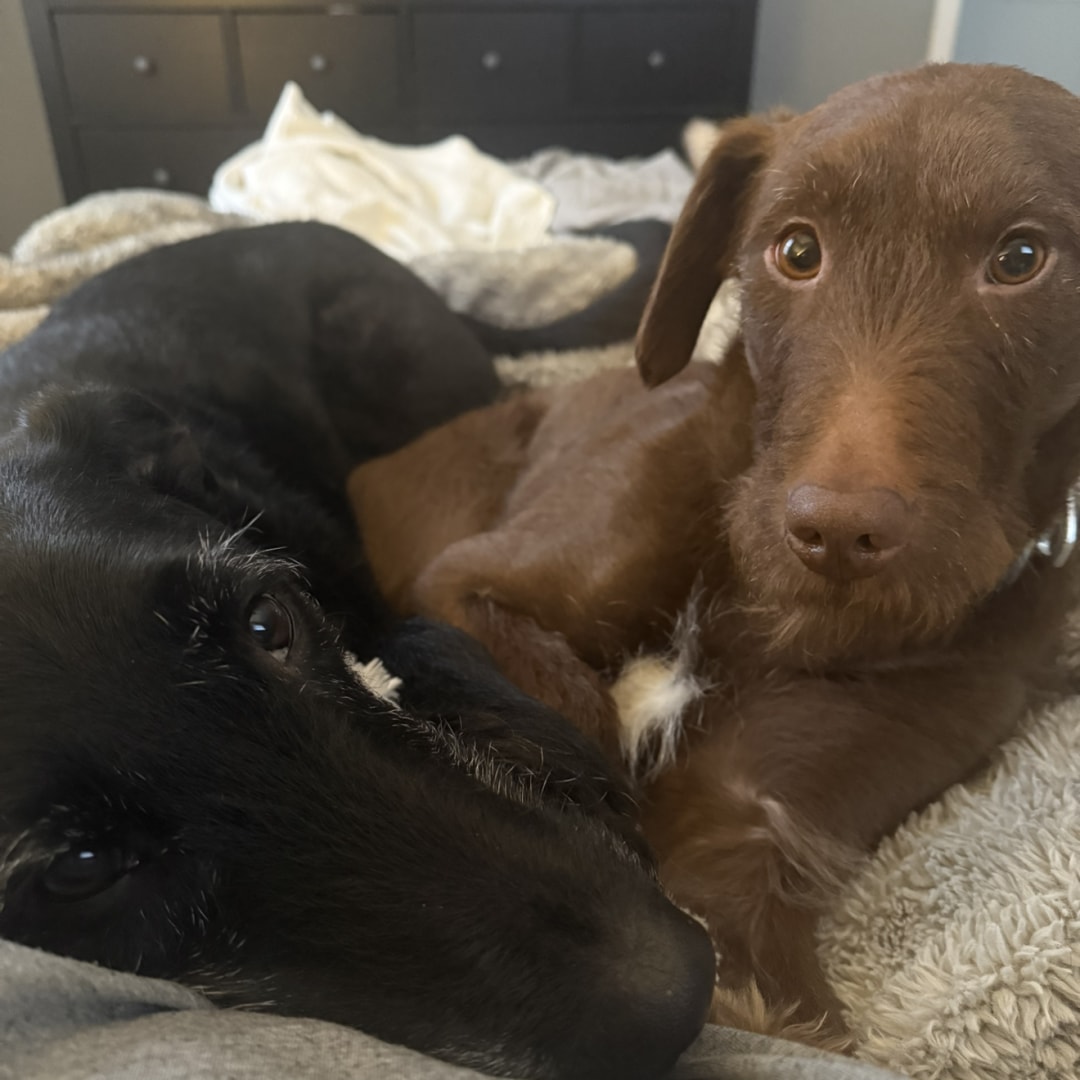 Photo shared by Geneva for their Babylist baby registry.