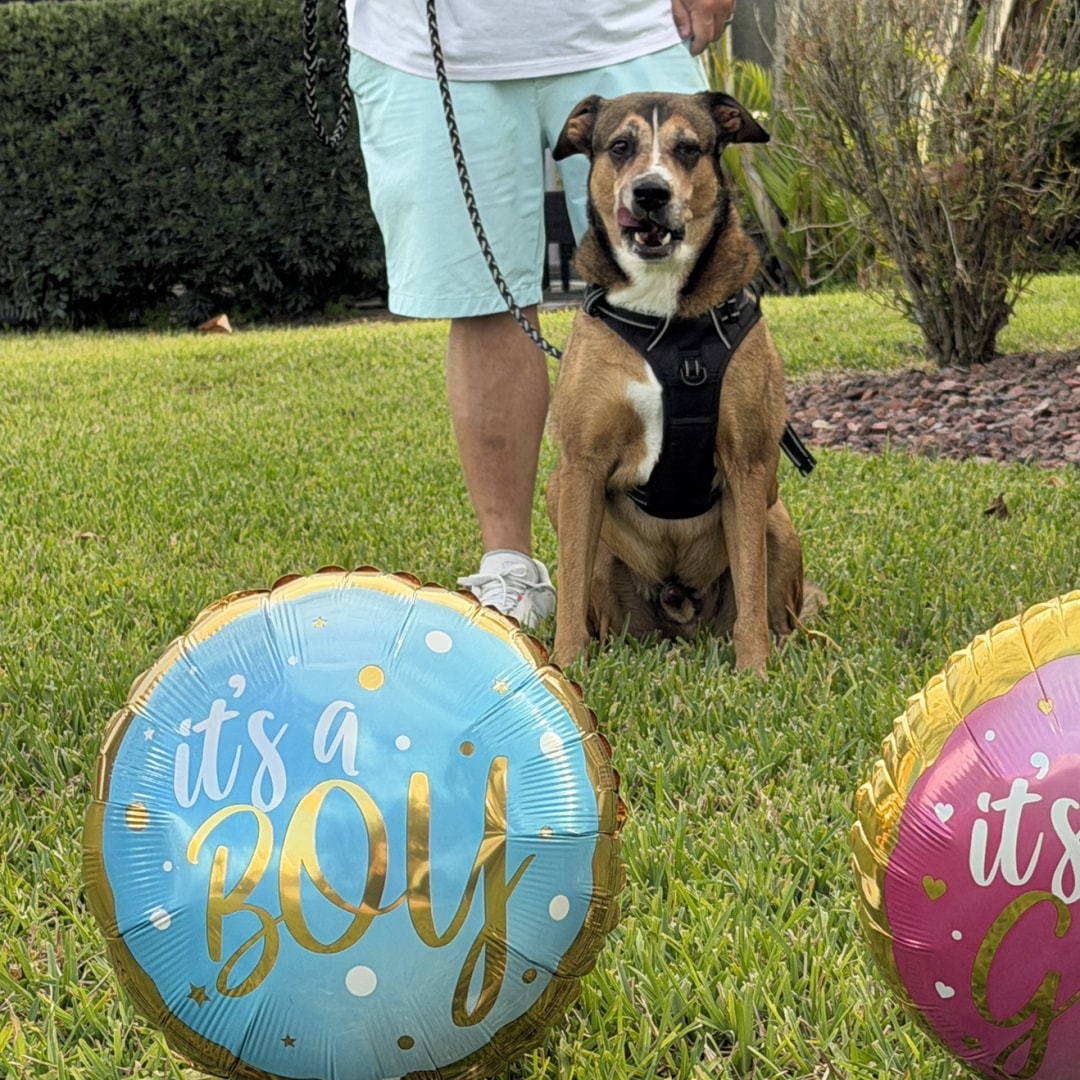 Photo shared by Traci for their Babylist baby registry.