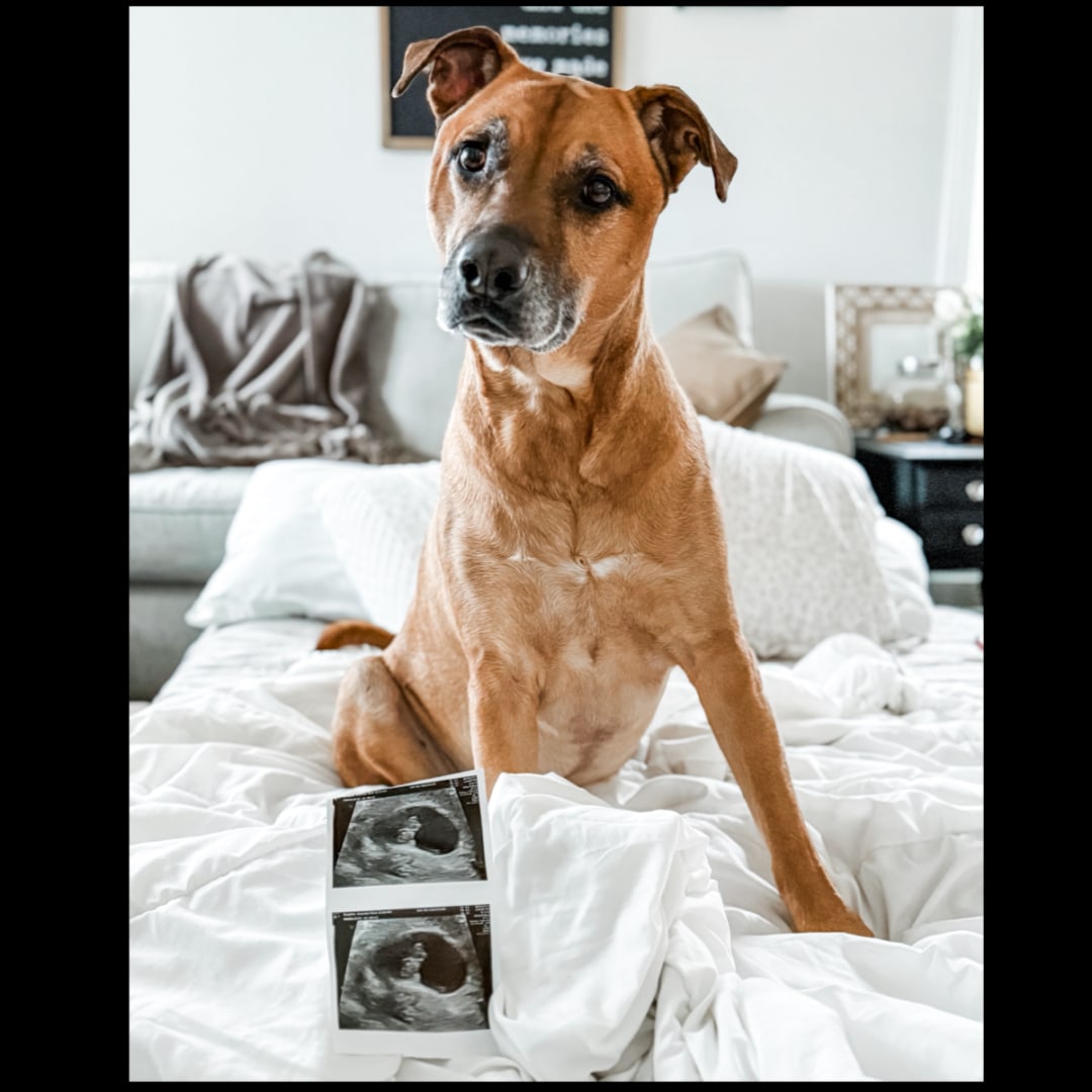 Photo shared by Jacquelyn for their Babylist baby registry.