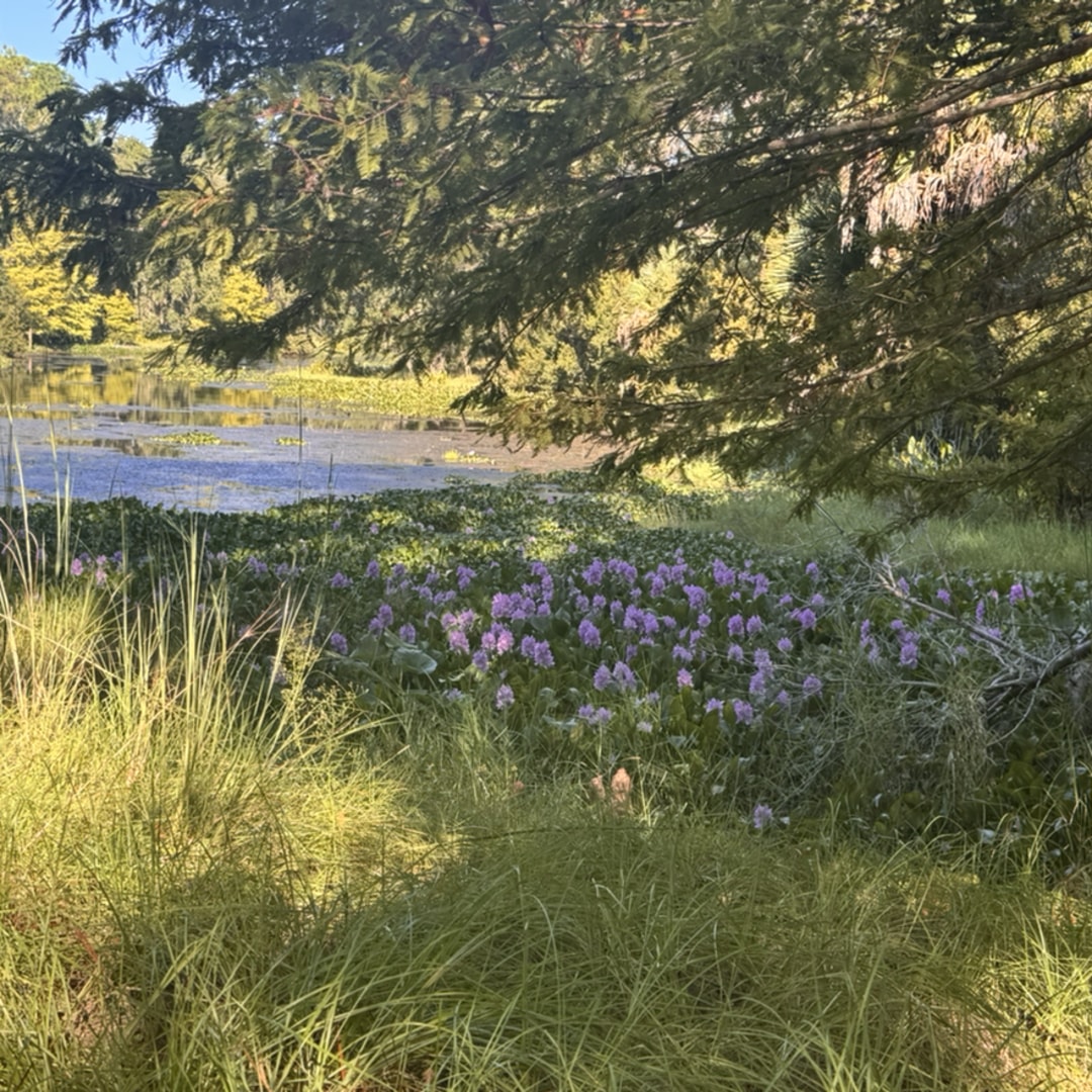 Photo shared by Lindsey for their Babylist baby registry.