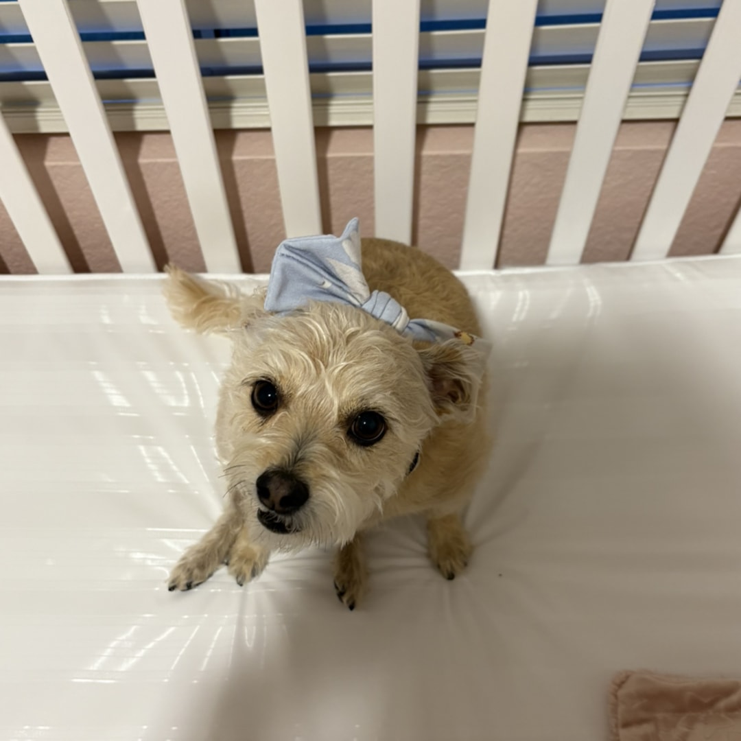 Photo shared by Mary for their Babylist baby registry.