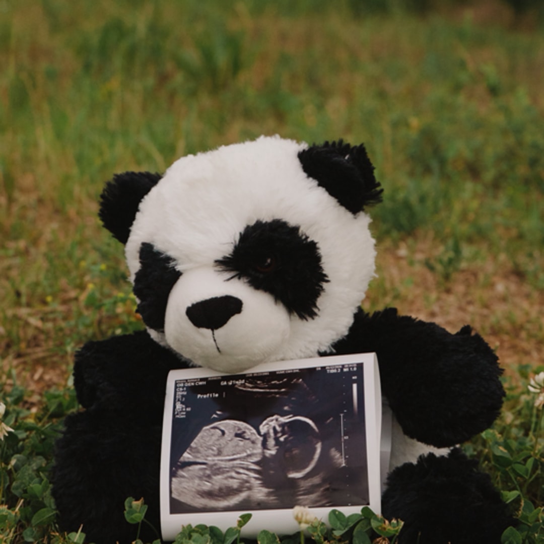 Photo shared by Ashton for their Babylist baby registry.