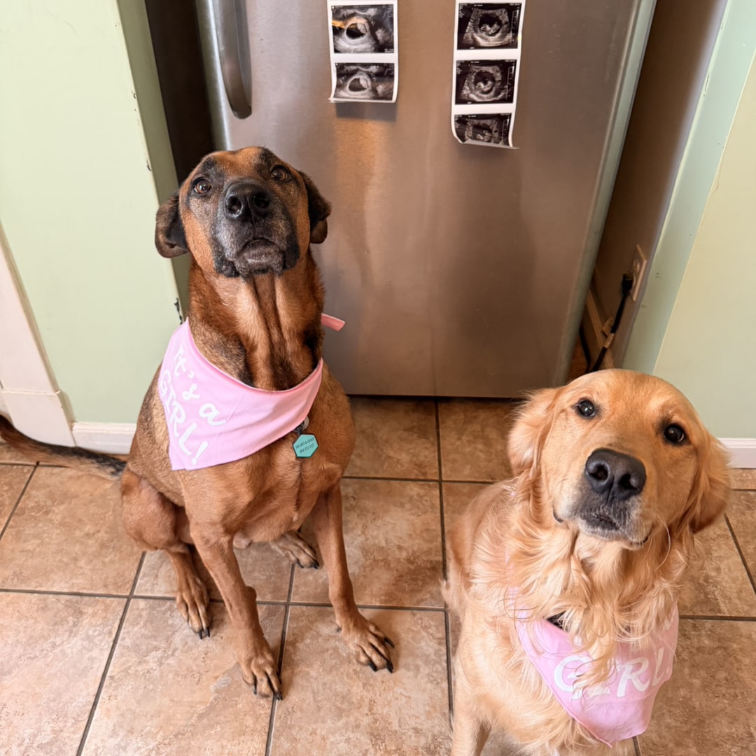 Photo shared by Erin for their Babylist baby registry.