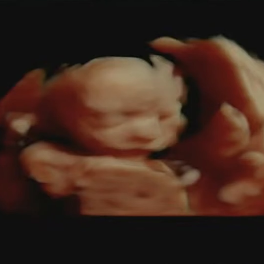 Photo shared by Colbie for their Babylist baby registry.