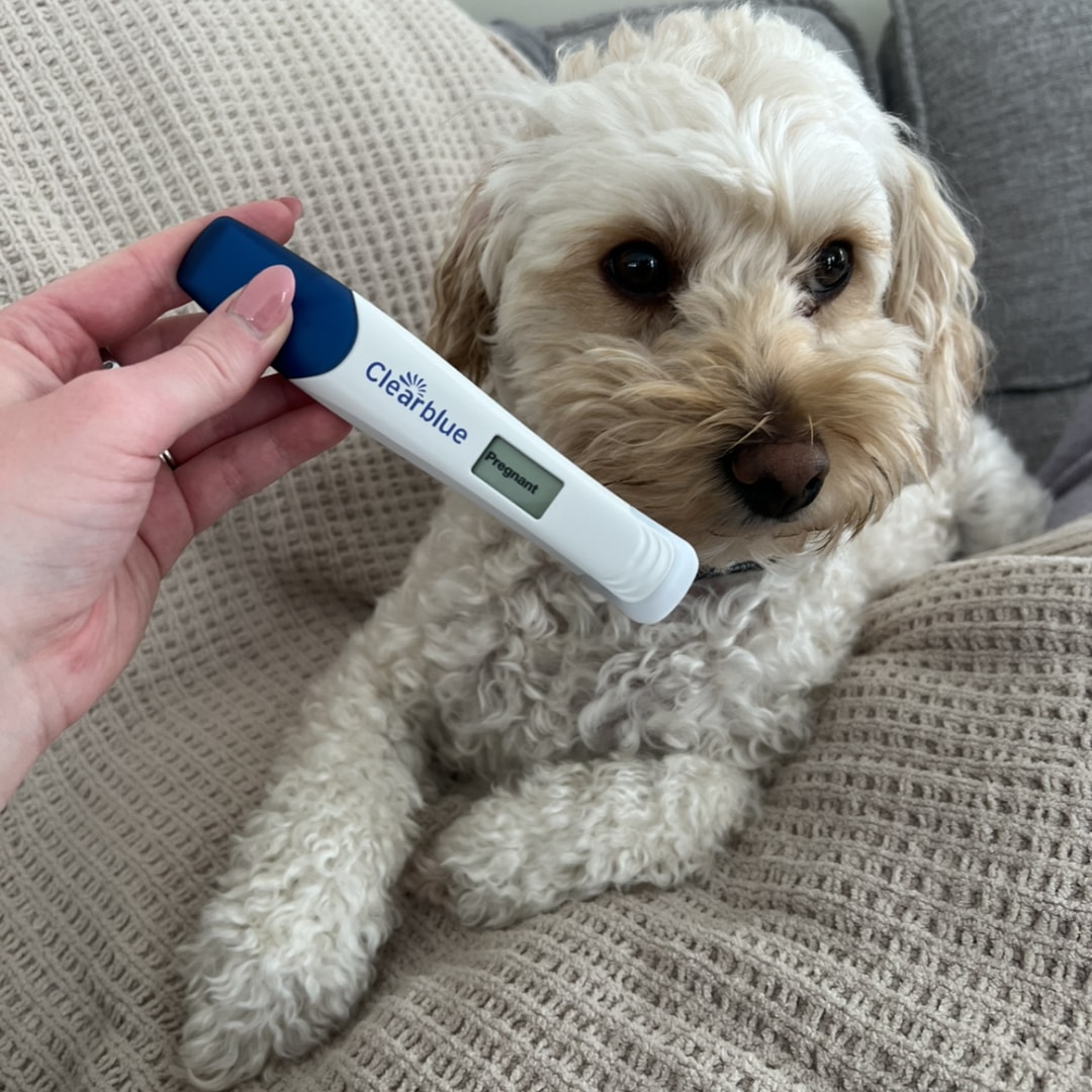 Photo shared by Cassidi for their Babylist baby registry.