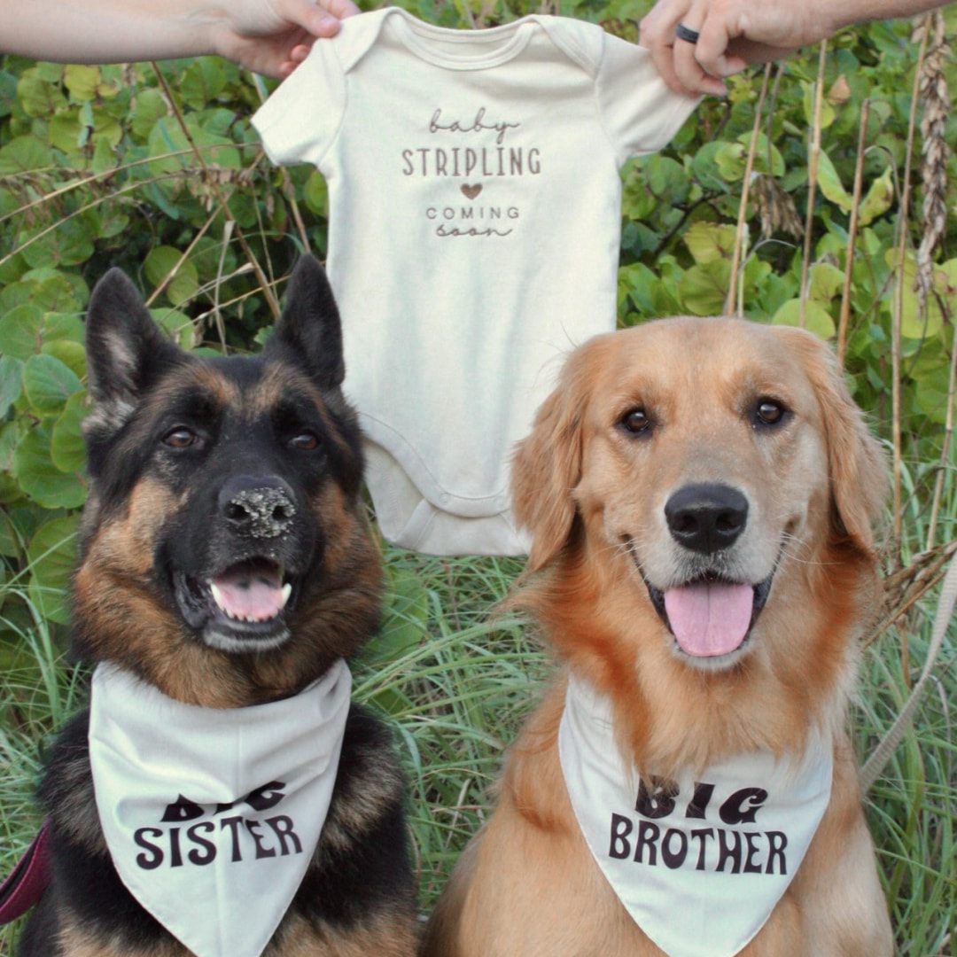 Photo shared by Amanda for their Babylist baby registry.