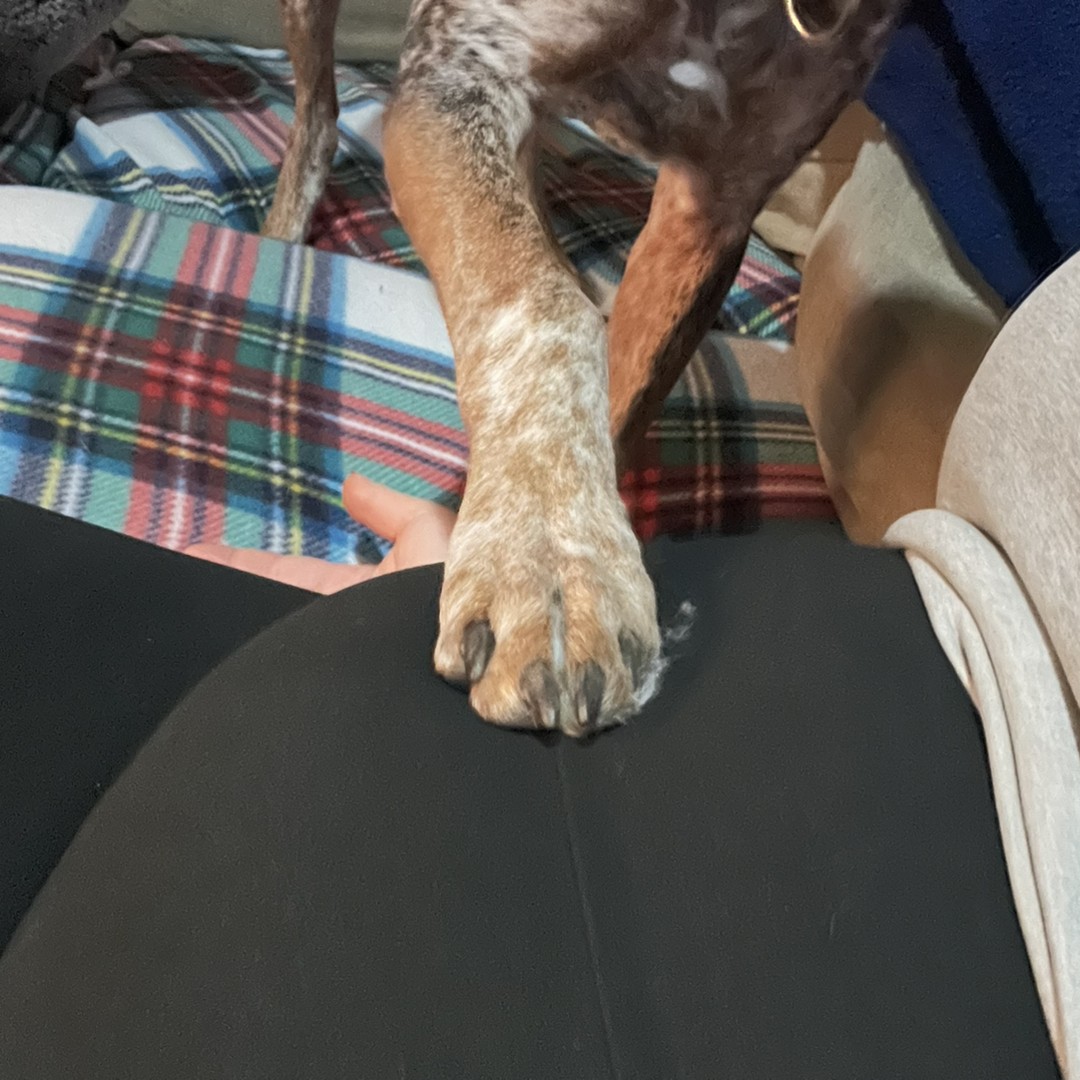 Photo shared by Skylar for their Babylist baby registry.