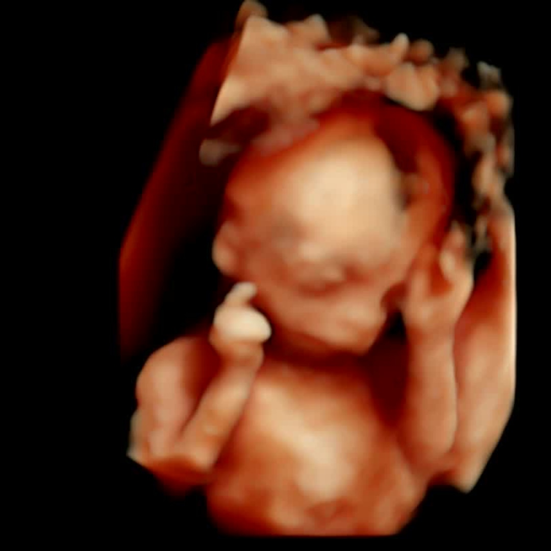 Photo shared by Yesenia for their Babylist baby registry.