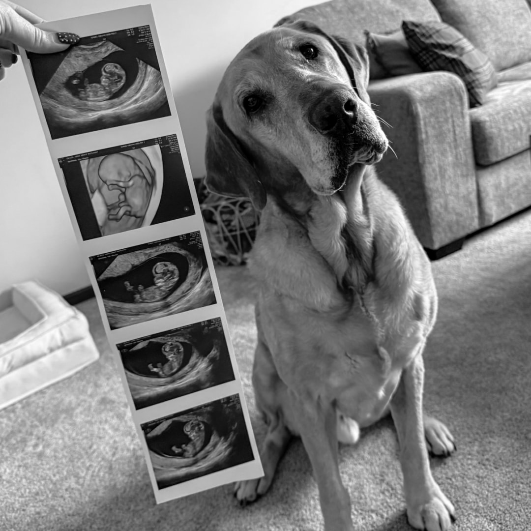 Photo shared by Sara for their Babylist baby registry.