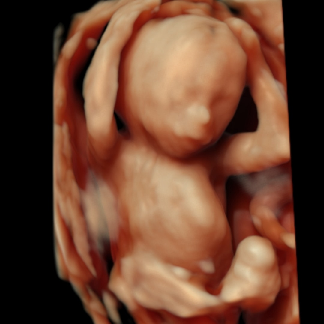 Photo shared by Samantha for their Babylist baby registry.
