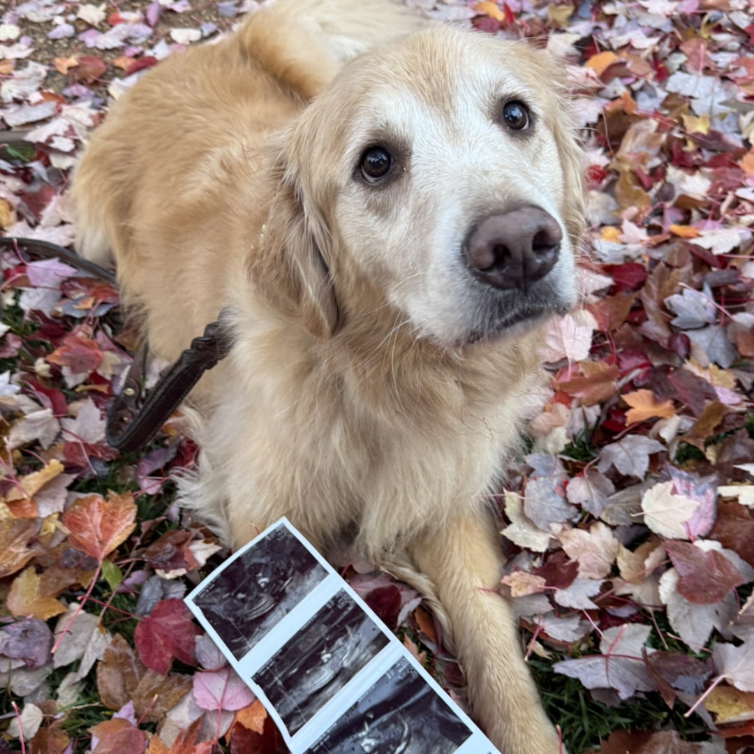 Photo shared by Rachel for their Babylist baby registry.