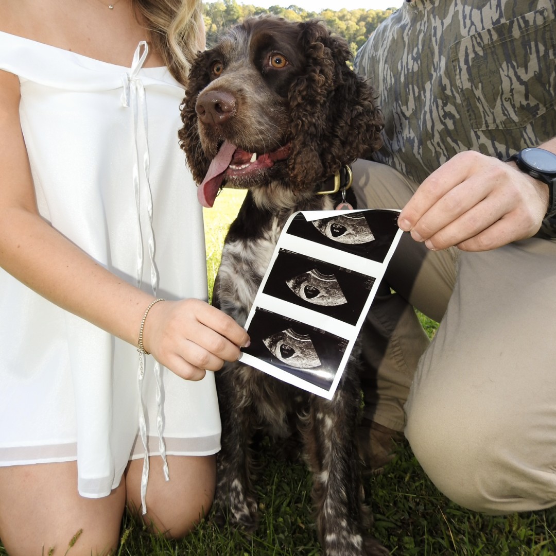 Photo shared by Hannah for their Babylist baby registry.