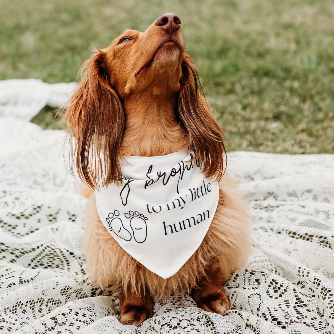 Photo shared by Heaven for their Babylist baby registry.