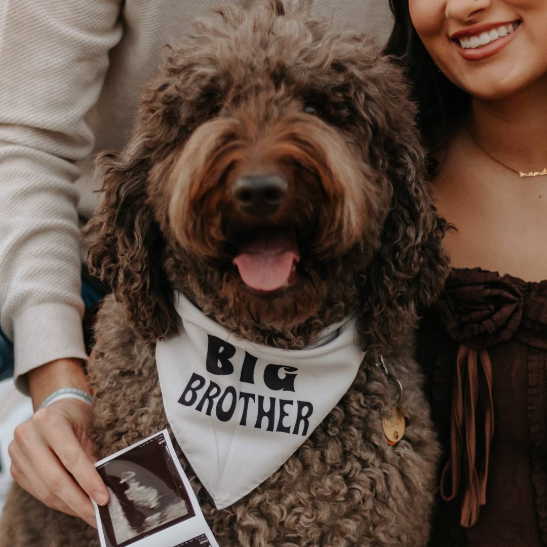 Photo shared by Lincoln & Alyssa for their Babylist baby registry.