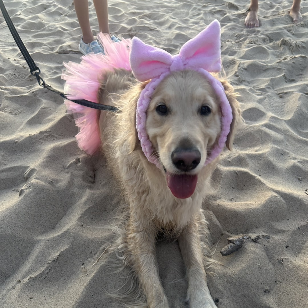 Photo shared by Meghan for their Babylist baby registry.