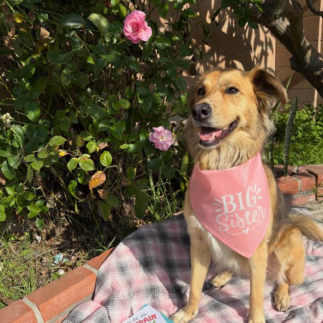 Photo shared by Kimmy for their Babylist baby registry.