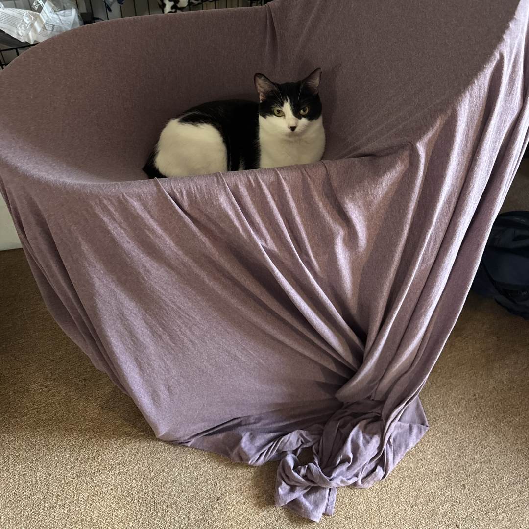 Photo shared by Kaitlyn for their Babylist baby registry.