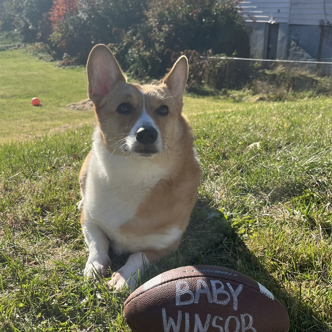 Photo shared by Christine for their Babylist baby registry.