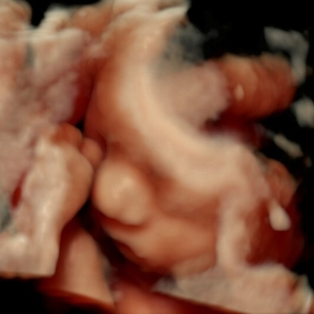 Photo shared by Nichole for their Babylist baby registry.