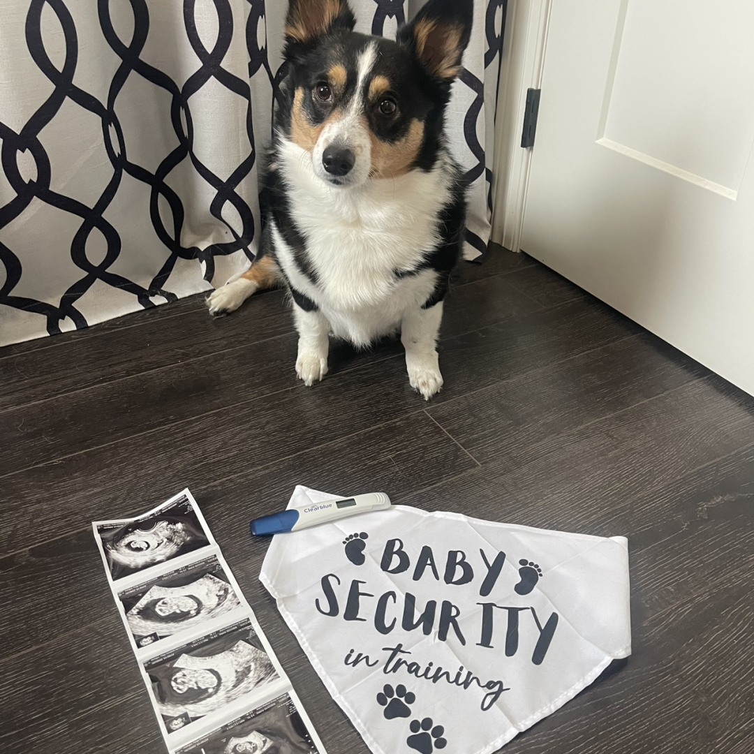 Photo shared by Paige for their Babylist baby registry.