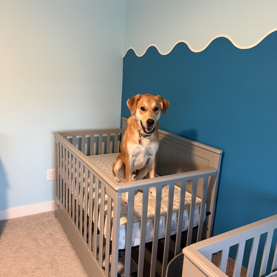 Photo shared by Taylor for their Babylist baby registry.