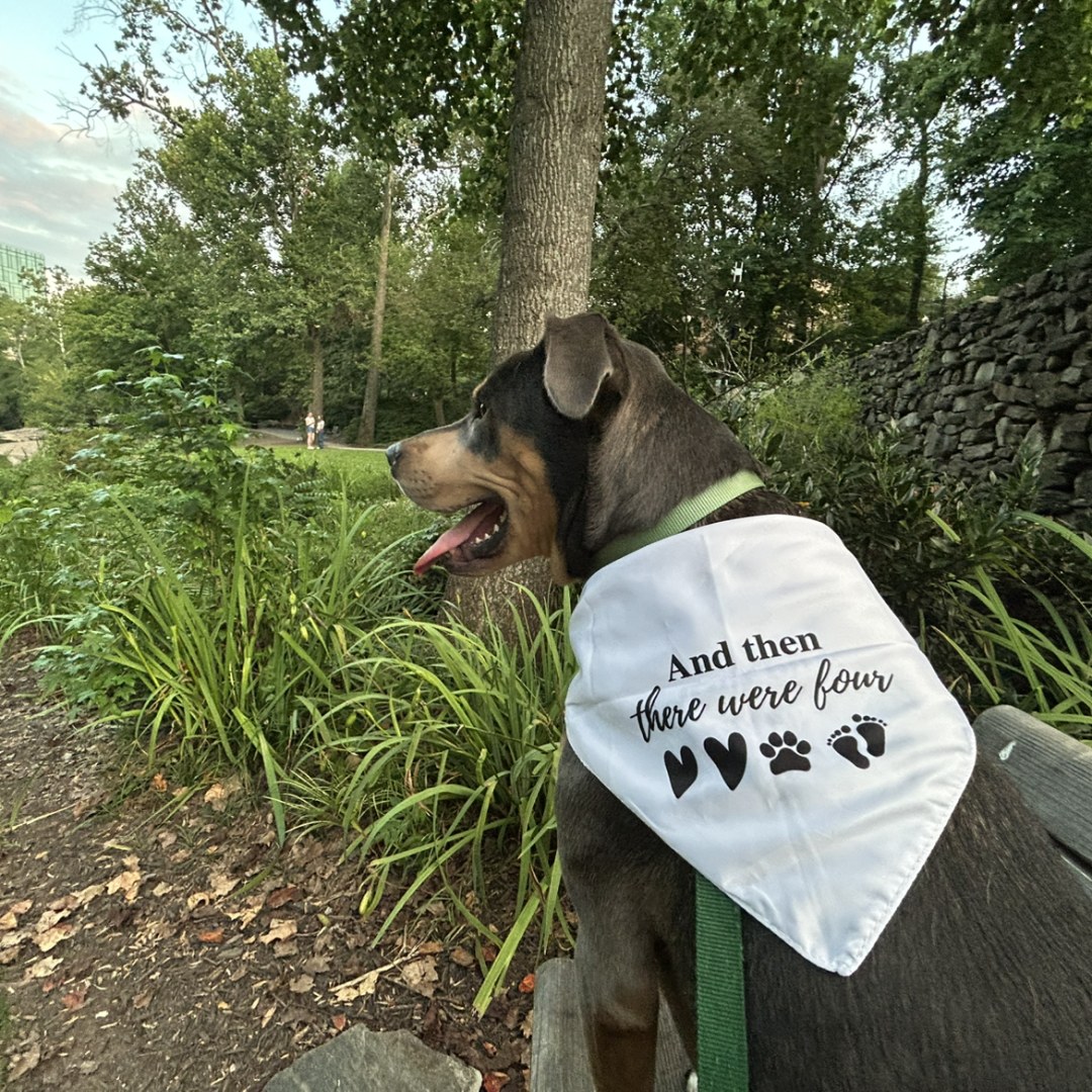 Photo shared by Mariana for their Babylist baby registry.