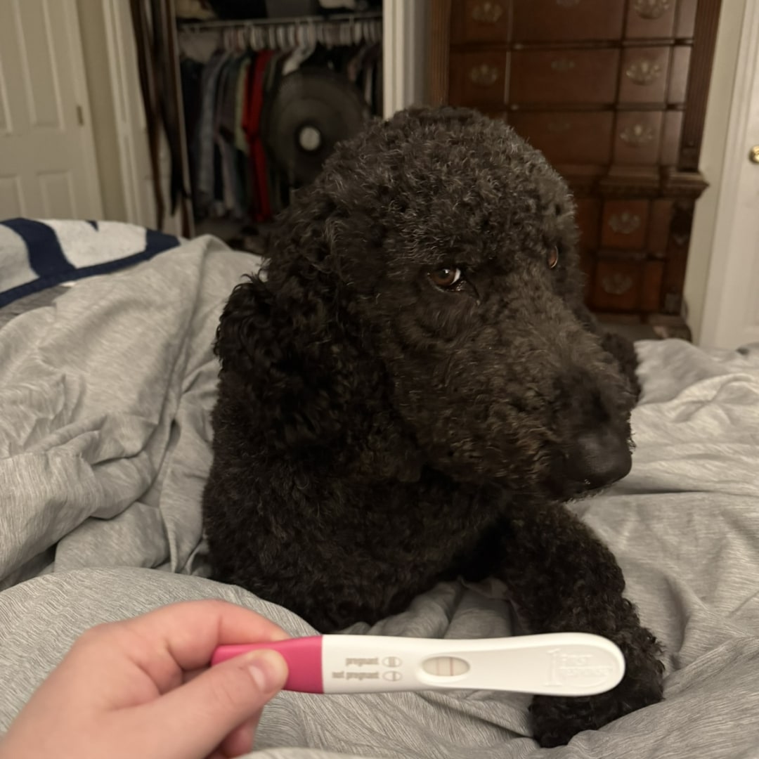 Photo shared by Micheal for their Babylist baby registry.