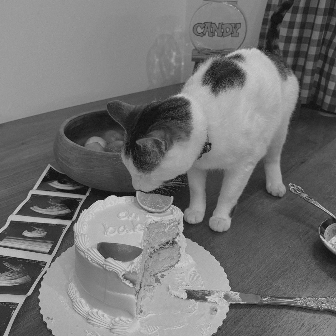 Photo shared by Dani for their Babylist baby registry.