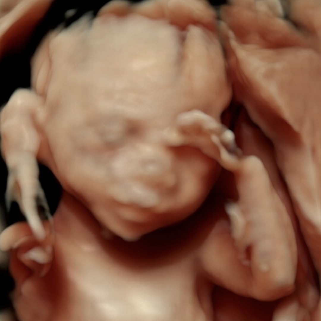 Photo shared by Grace for their Babylist baby registry.