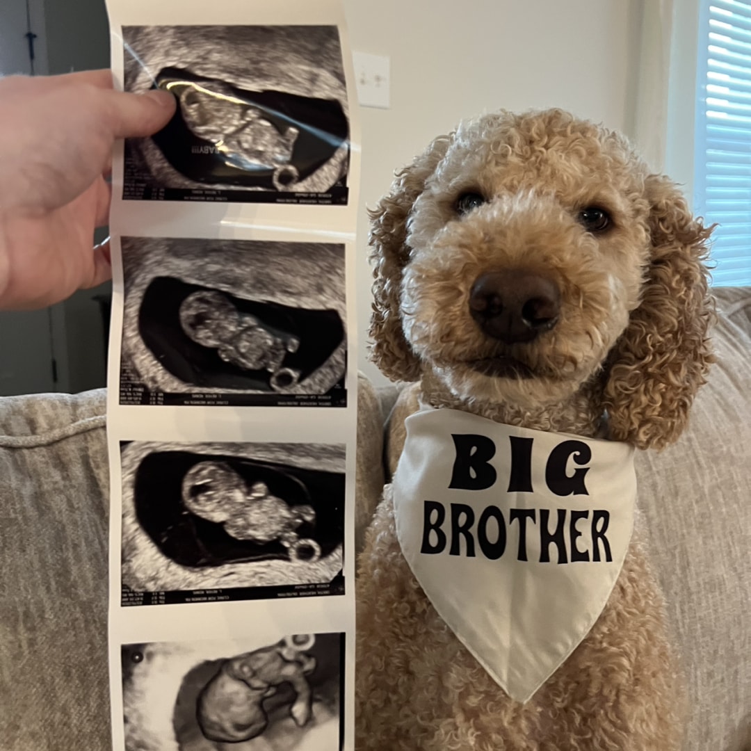 Photo shared by Heather for their Babylist baby registry.