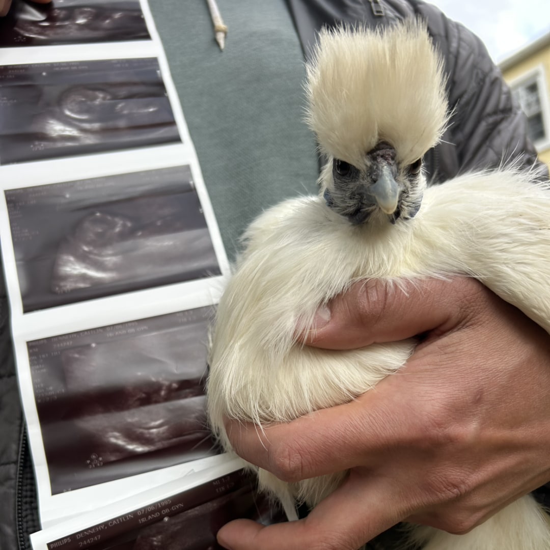 Photo shared by Brian for their Babylist baby registry.