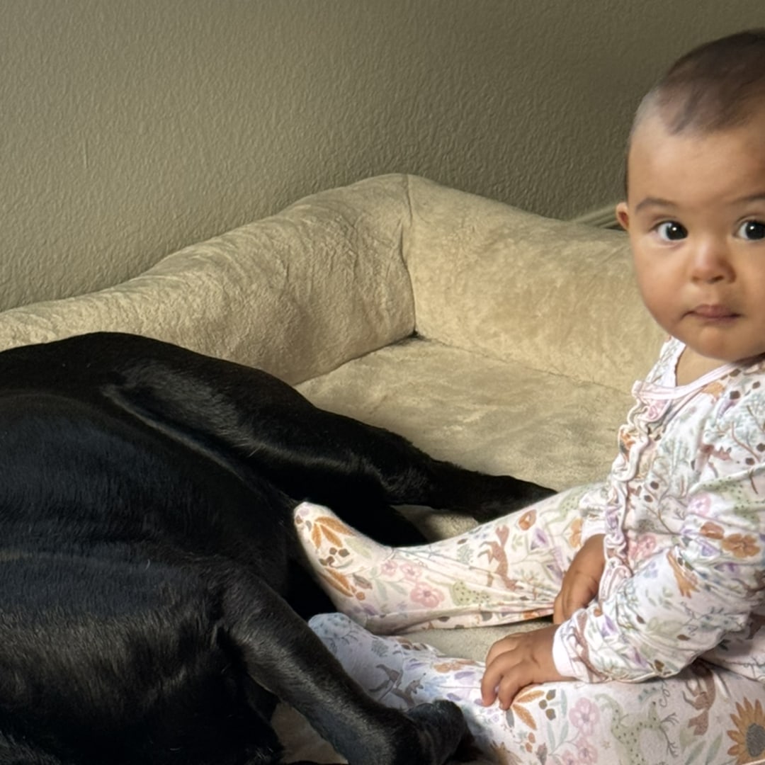 Photo shared by Karina for their Babylist baby registry.