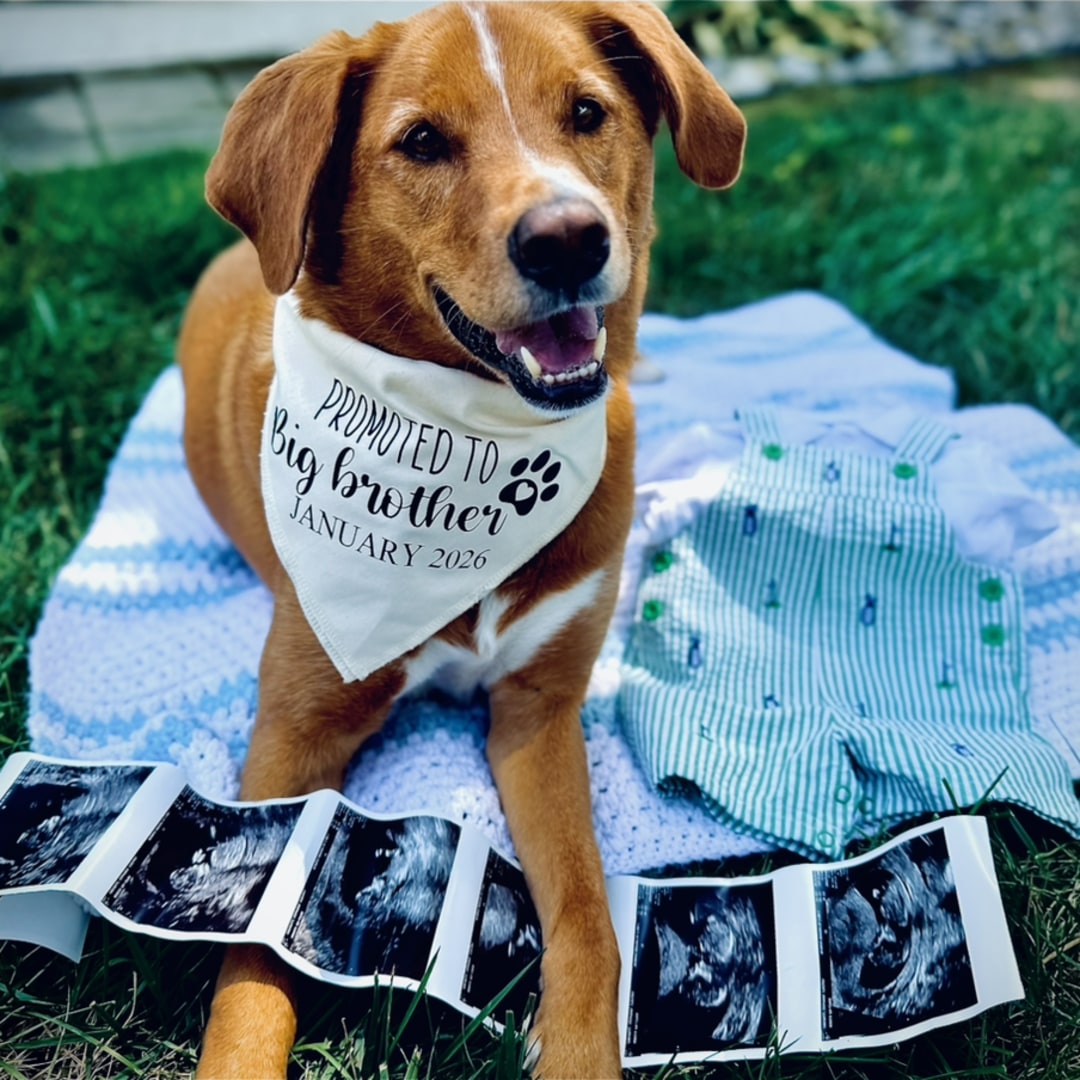 Photo shared by Stephanie for their Babylist baby registry.