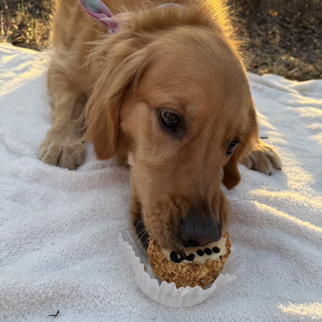 Photo shared by Corinthia for their Babylist baby registry.