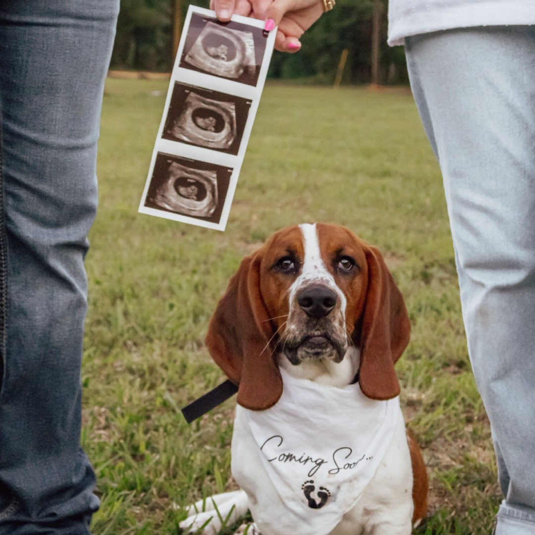Photo shared by Danielle for their Babylist baby registry.