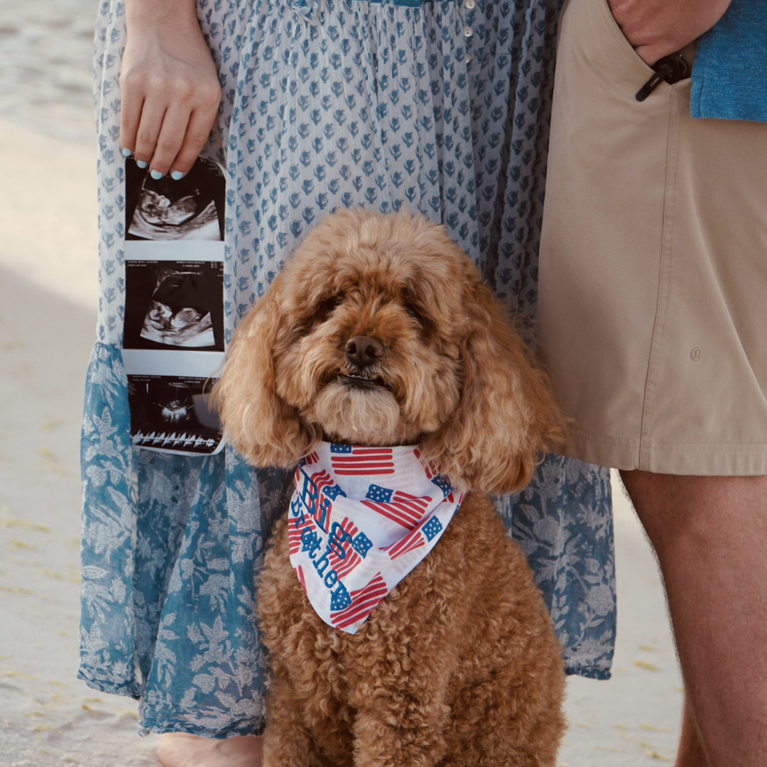Photo shared by Abbey for their Babylist baby registry.