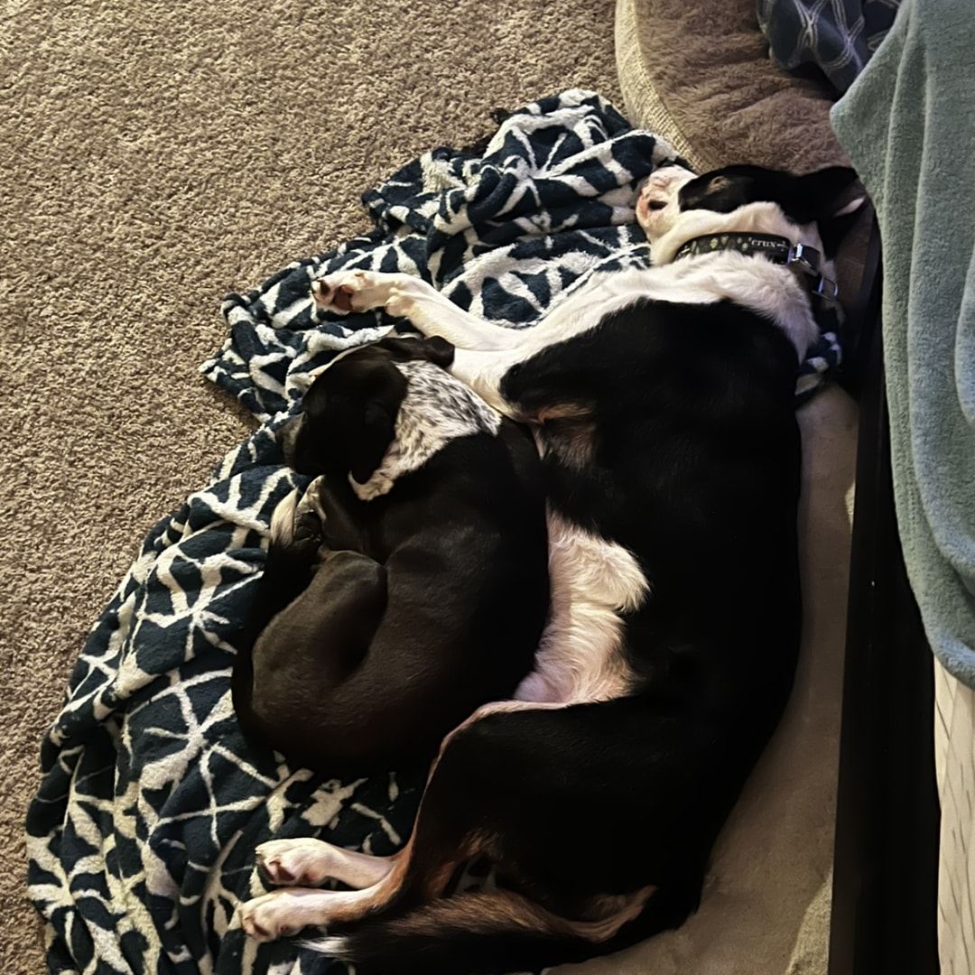 Photo shared by Gavin for their Babylist baby registry.