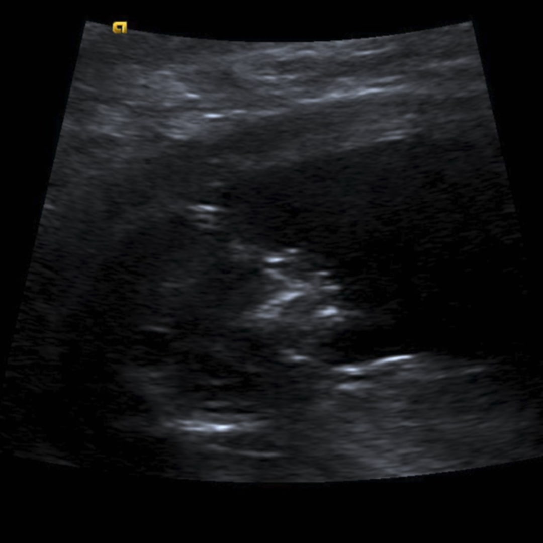 Photo shared by Mariana for their Babylist baby registry.