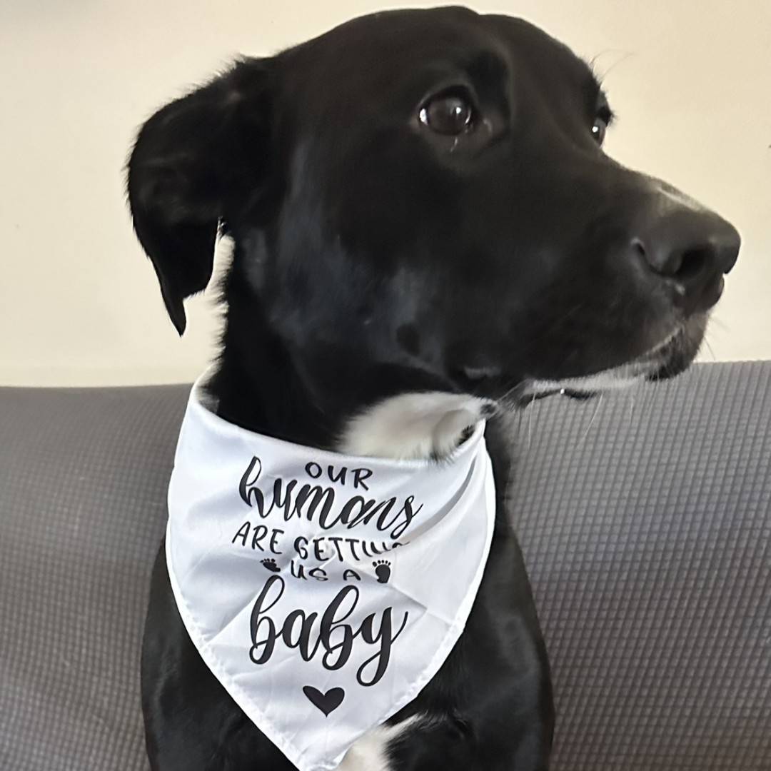 Photo shared by Kylee for their Babylist baby registry.