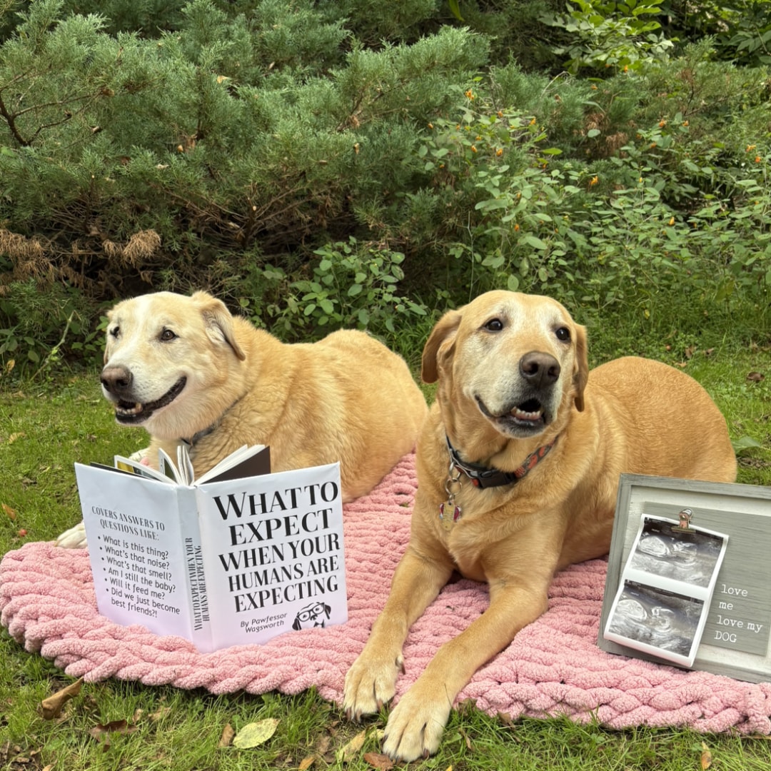 Photo shared by Karey for their Babylist baby registry.