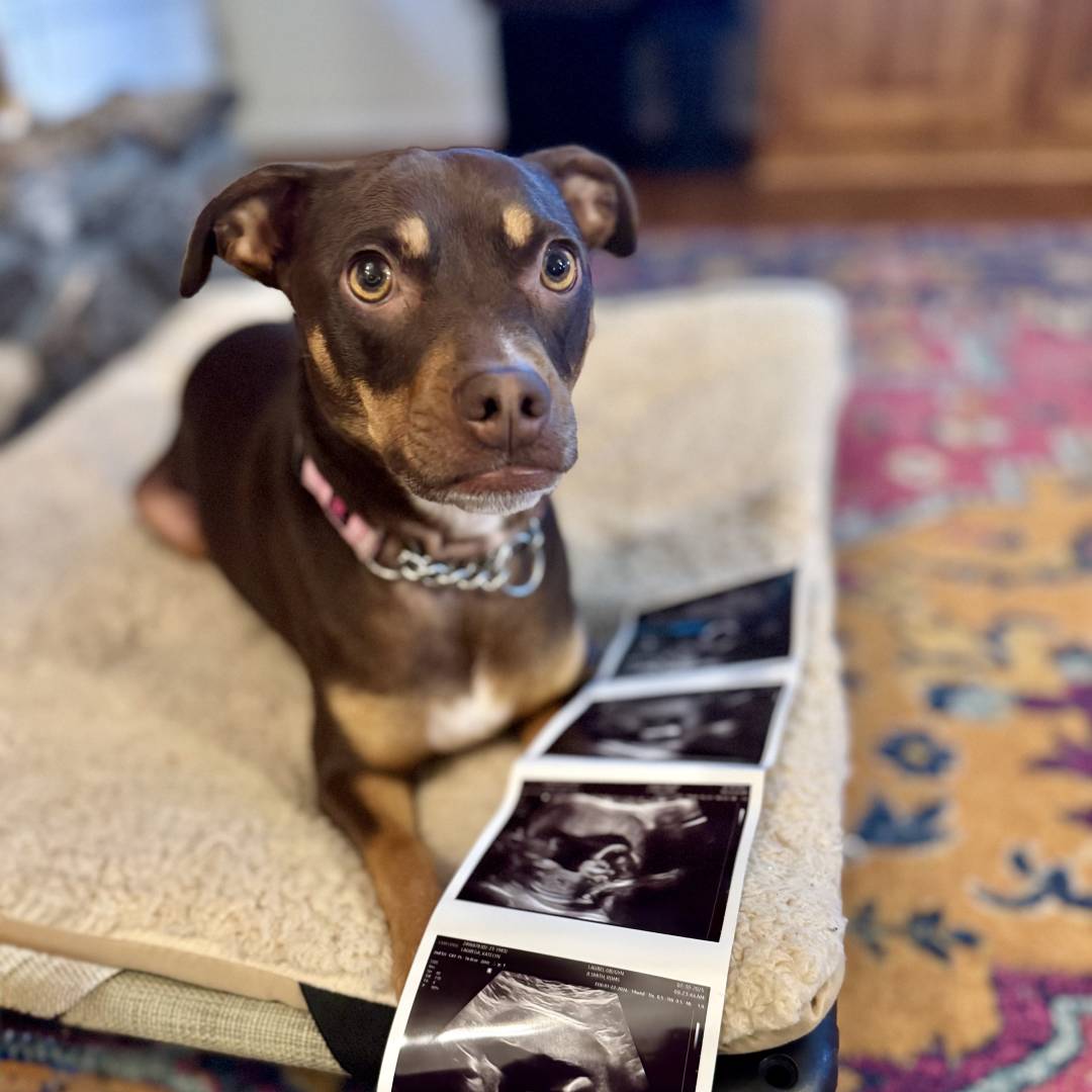 Photo shared by Katelyn for their Babylist baby registry.