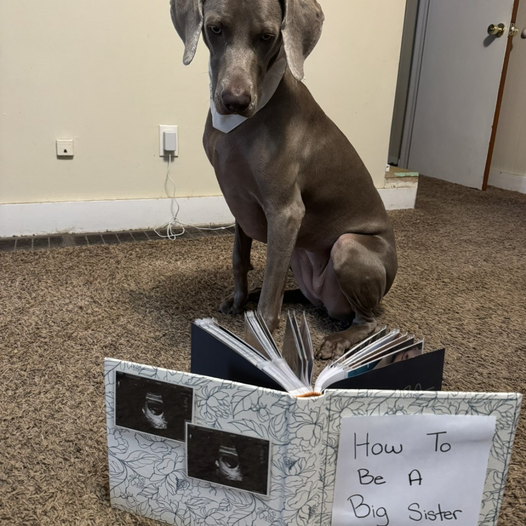 Photo shared by Kirstyn for their Babylist baby registry.