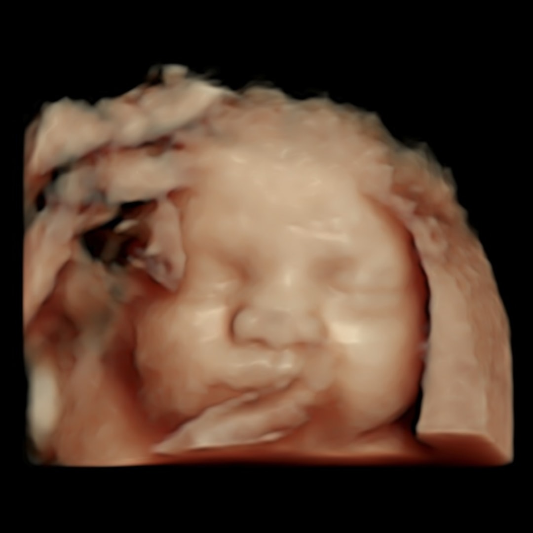 Photo shared by Claudia for their Babylist baby registry.