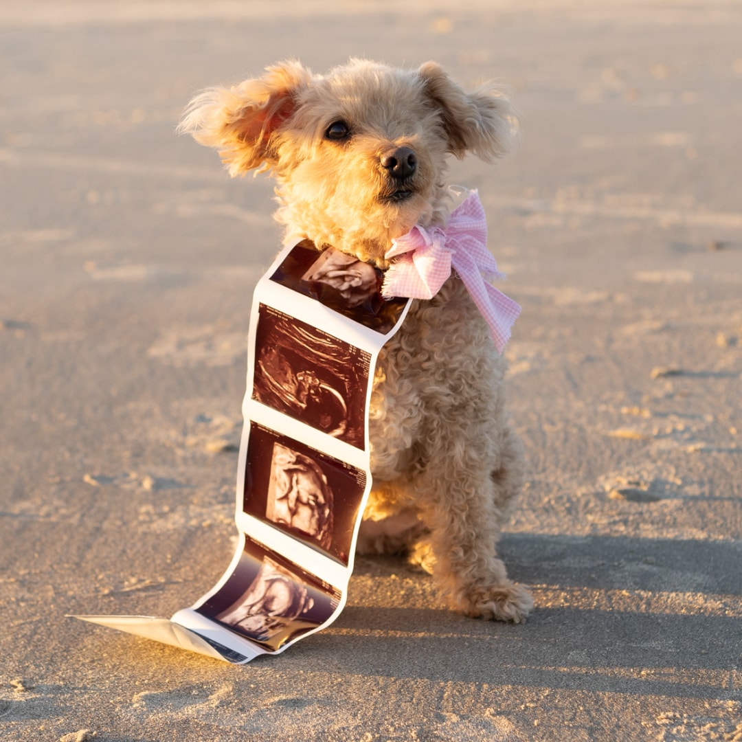 Photo shared by Mikayla for their Babylist baby registry.