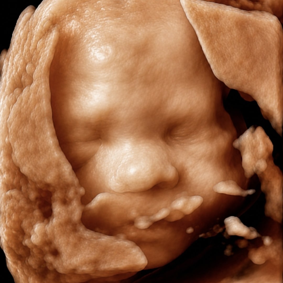 Photo shared by Gianna for their Babylist baby registry.